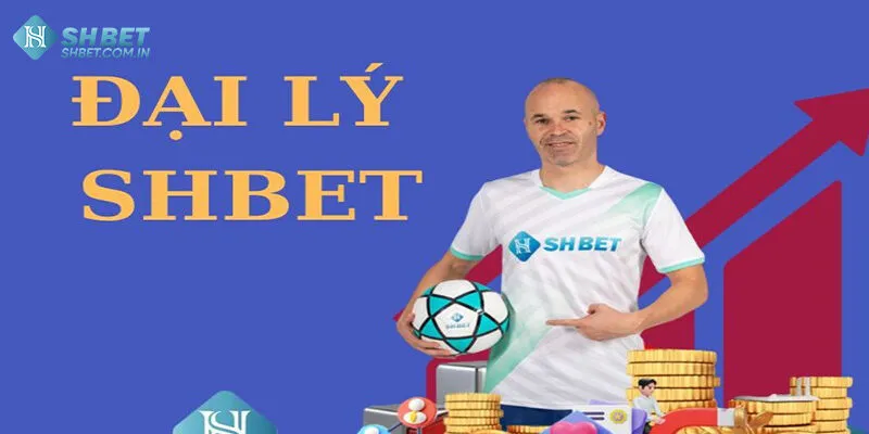 Đầu việc của đại lý Shbet