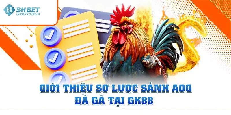 Hình thức cá cược phổ biến có tại AOG đá gà